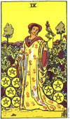 Nine of Coins Tarot Card for 2013 Virgo Horoscope