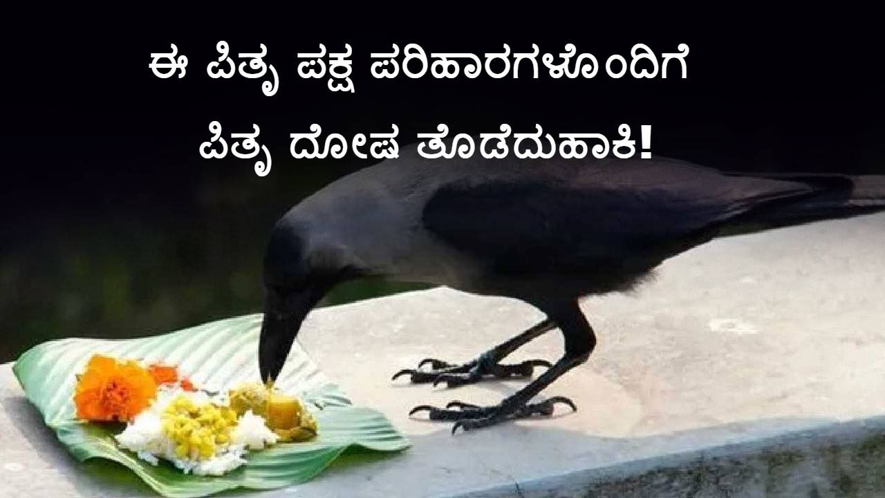 ಪಿತೃ ಪಕ್ಷ ದಿನಾಂಕದ ಬಗ್ಗೆ ಗೊಂದಲವೇ? ಸರಿಯಾದ ದಿನಾಂಕ ಮತ್ತು ಶ್ರಾದ್ಧ ವಿಧಿ ಇಲ್ಲಿದೆ ನೋಡಿ!