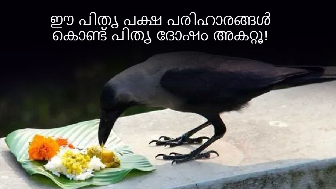 പിതൃ പക്ഷ തിയതി സംബന്ധിച്ച് ആശയകുഴപ്പമുണ്ടോ