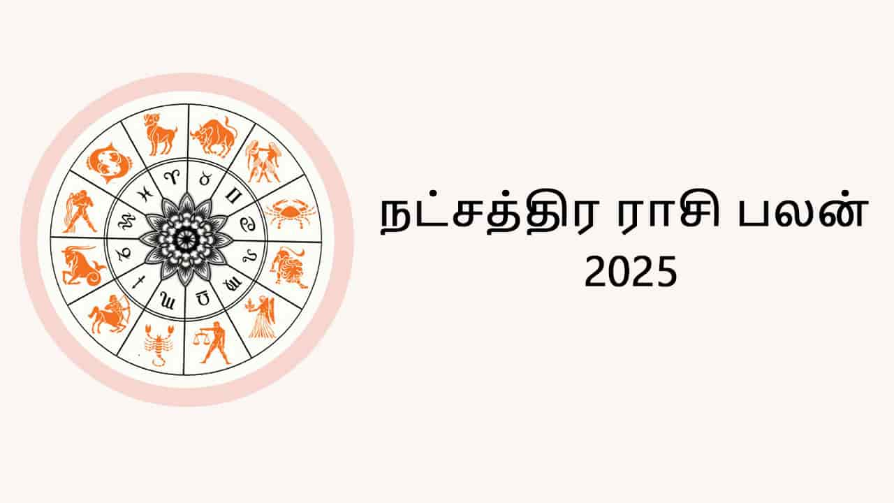 நட்சத்திர ராசி பலன் 2025