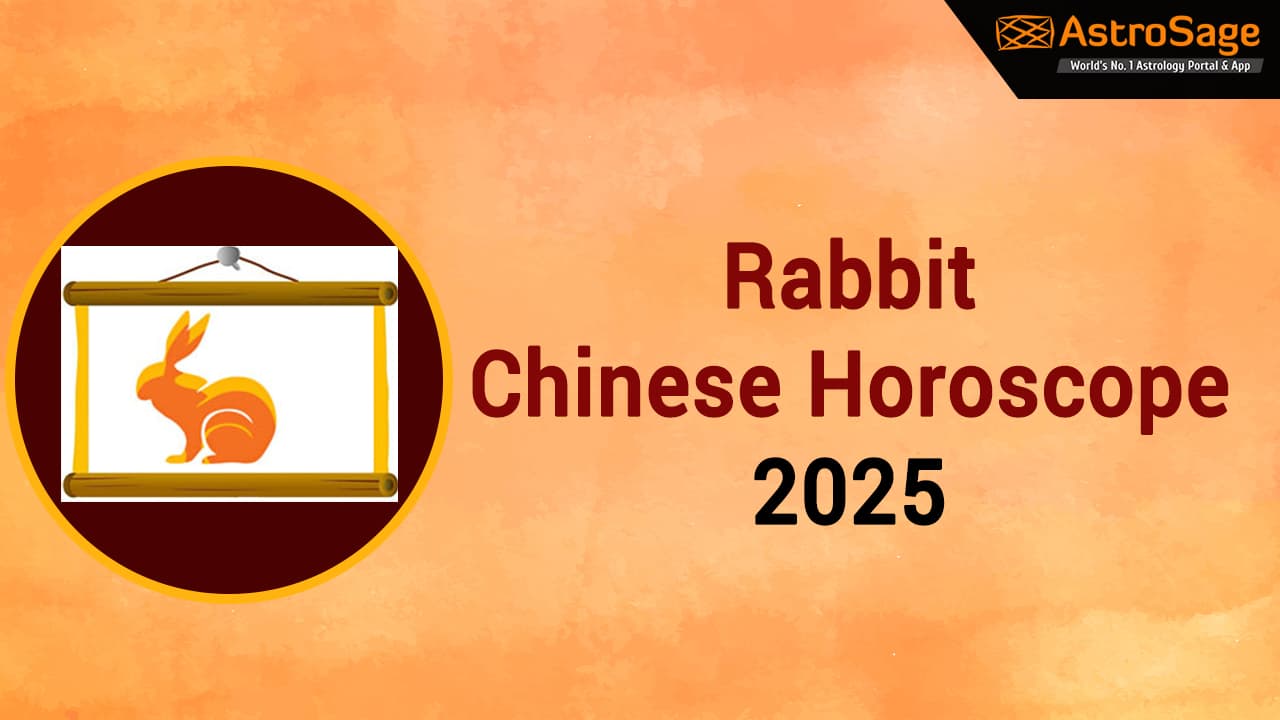 Rabbit Chinese Horoscope 2025!
