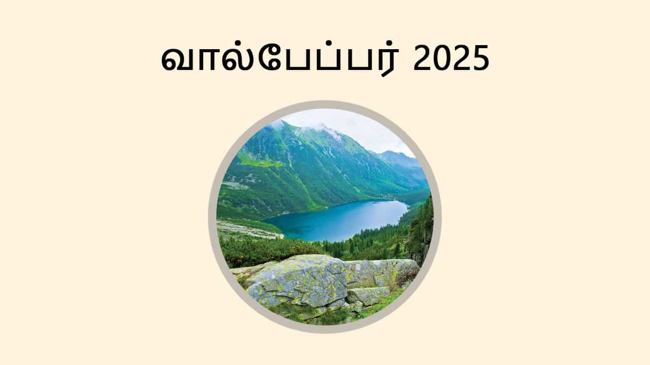 வால்பேப்பர் 2025