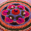 Festival of Onam