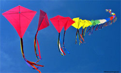 Makar Sankranti is a Hindu festival.