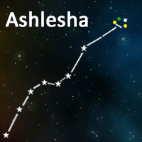 The symbol of Ashlesha  Nakshatra