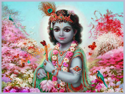 Free Krishna Wallpapers